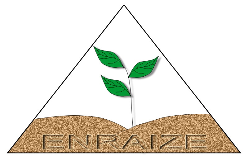 Viveiro Enraize