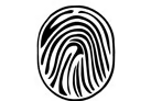SamaÚma