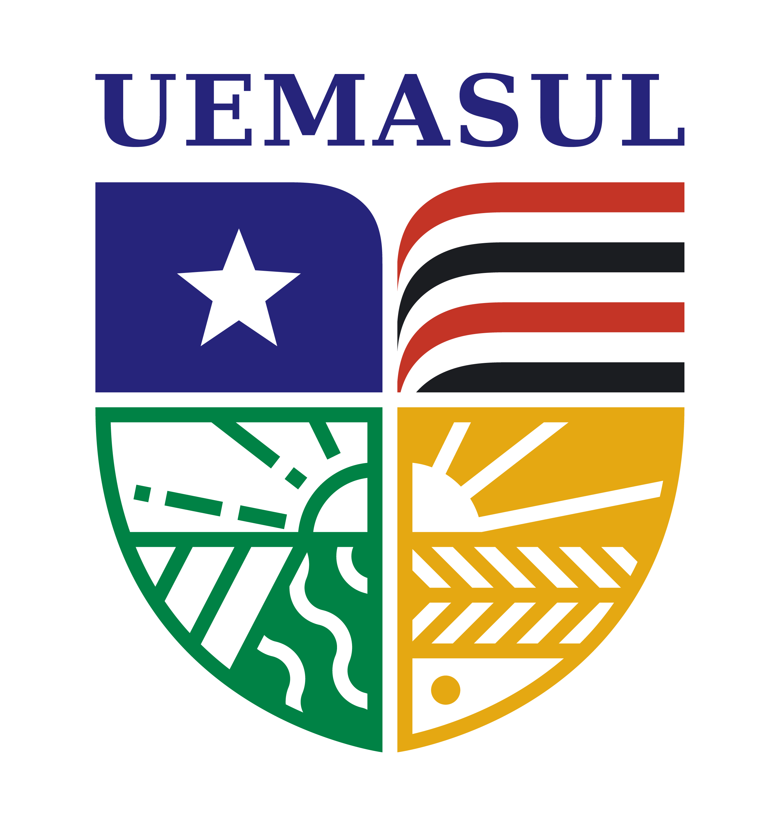 Universidade Estadual da Região Tocantina do Maranhão (UEMASUL)